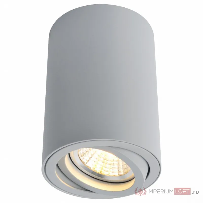 Накладной светильник Arte Lamp 1560 A1560PL-1GY Цвет арматуры серый Цвет плафонов серый от ImperiumLoft