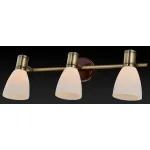 Спот TopLight Sharyl TL3720Y-03BB Цвет арматуры бронза Цвет плафонов белый