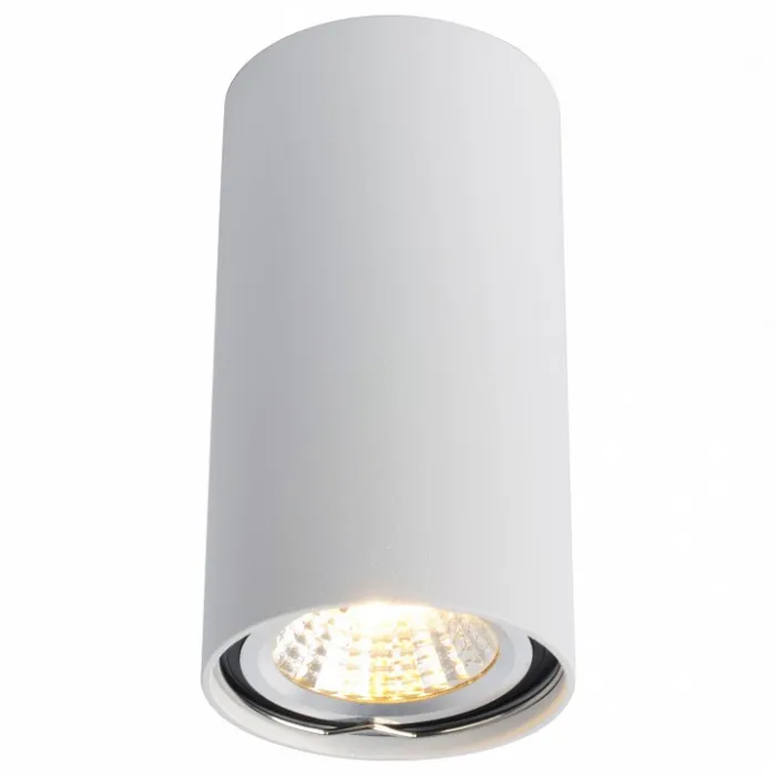Накладной светильник Arte Lamp 1516 A1516PL-1WH Цвет арматуры белый Цвет плафонов белый от ImperiumLoft