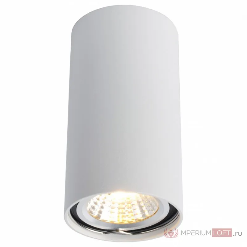 Накладной светильник Arte Lamp 1516 A1516PL-1WH Цвет арматуры белый Цвет плафонов белый от ImperiumLoft