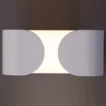 Накладной светильник Arte Lamp A1419 A1419AP-1WH Цвет арматуры белый Цвет плафонов белый