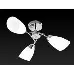 Потолочная люстра TopLight Carmel TL3600X-03CH 