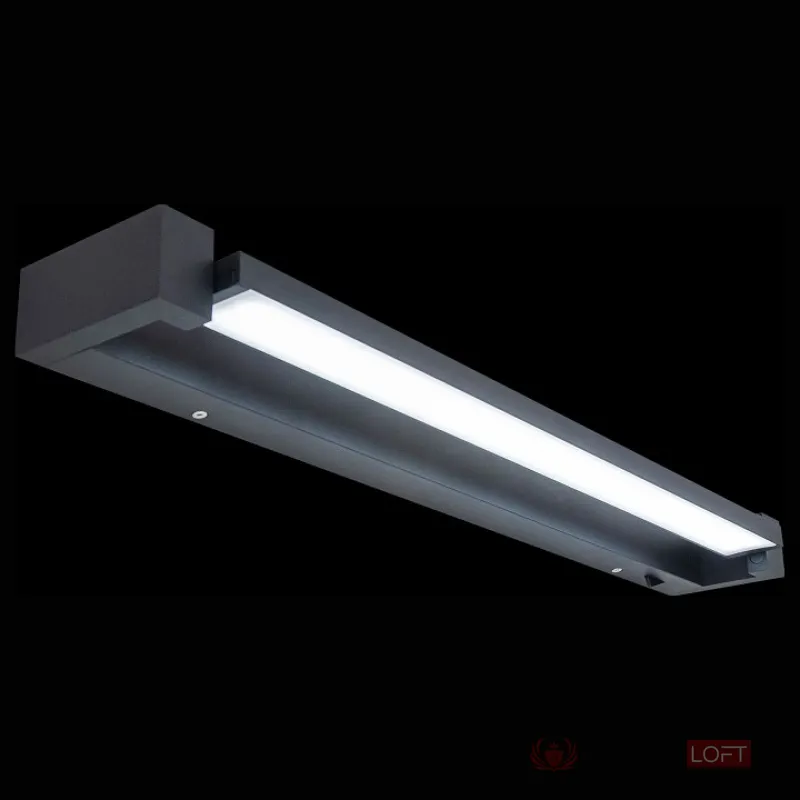 Подсветка для зеркала Citilux Визор CL708261N Цвет арматуры черный Цвет плафонов белый от ImperiumLoft