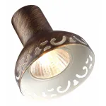 Спот Arte Lamp Focus A5219PL-3BR Цвет арматуры коричневый Цвет плафонов коричневый от ImperiumLoft