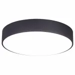 Потолочный светильник Citilux Тао CL712242N 
