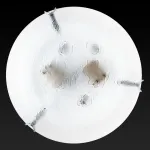 Потолочный светильник TopLight Julianna TL9301Y-02SM 