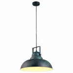 Подвесной светильник Arte Lamp Martin A5213SP-1BG Цвет арматуры медь Цвет плафонов медь от ImperiumLoft