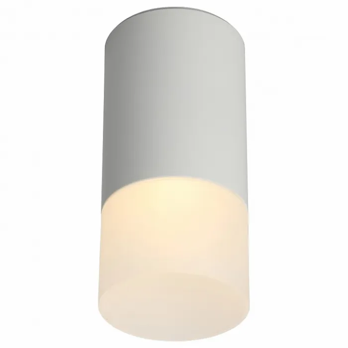 Накладной светильник Omnilux Lucido OML-100609-01 от ImperiumLoft