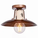 Накладной светильник Lussole LOFT GRLSP-8161