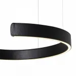 Подвесной светильник Loft it Ring 10025/400 Black Цвет плафонов черный от ImperiumLoft