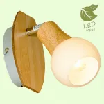 Спот Lussole LGO-11 GRLSP-0119 от ImperiumLoft