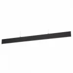 Подвесной светильник Arte Lamp 2505 A2505SP-2BK 