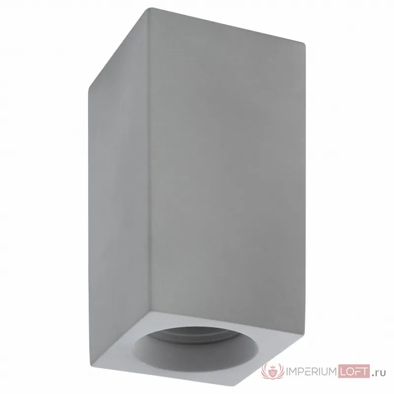Накладной светильник Denkirs DK5002 DK5002-CE Цвет плафонов серый Цвет арматуры серый от ImperiumLoft
