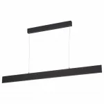 Подвесной светильник Arte Lamp 2505 A2505SP-2BK 