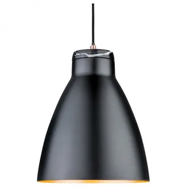Подвесной светильник Paulmann Roald 79609 Цвет плафонов черный Цвет арматуры черный