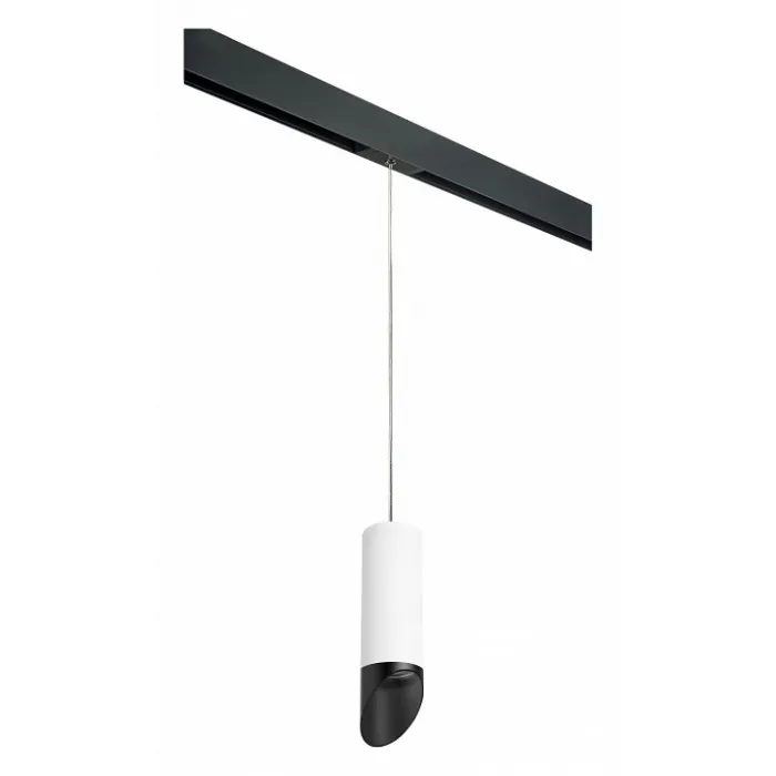 Подвесной светильник Lightstar Rullo PRORP48637 от ImperiumLoft