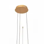 Подвесной светильник Loft it Ring 10017/3L Цвет арматуры золото Цвет плафонов золото от ImperiumLoft