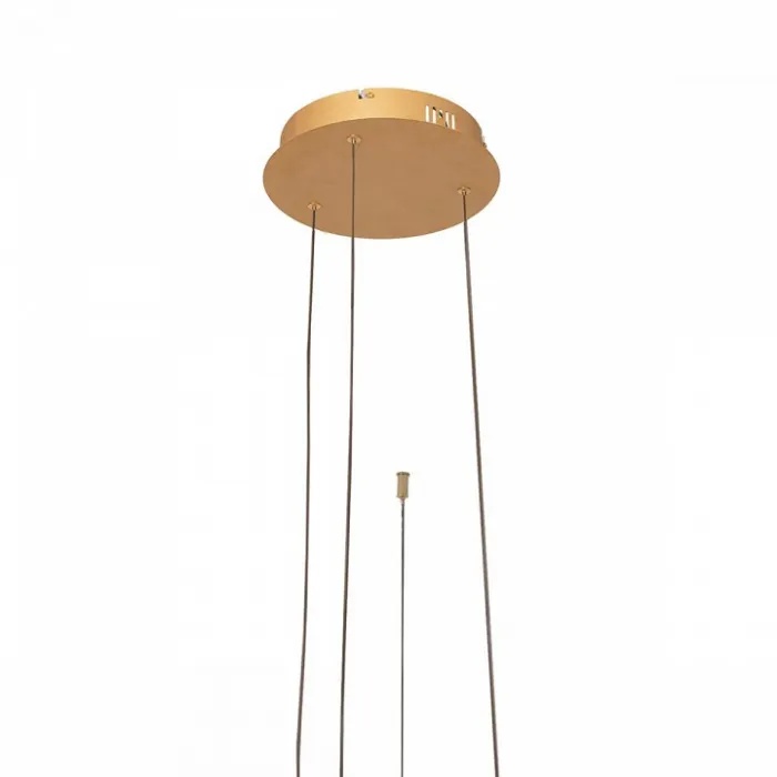 Подвесной светильник Loft it Ring 10017/3L Цвет арматуры золото Цвет плафонов золото от ImperiumLoft