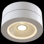 Накладной светильник Maytoni Alivar C022CL-L12W Цвет арматуры белый Цвет плафонов белый от ImperiumLoft