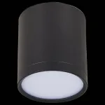 Накладной светильник ST-Luce Rene ST113.432.05 Цвет арматуры черный Цвет плафонов черный