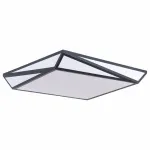 Накладной светильник Arte Lamp Multi-piazza A1930PL-1BK