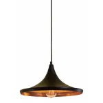 Подвесной светильник Citilux Эдисон CL450210 Цвет арматуры черный Цвет плафонов черный от ImperiumLoft