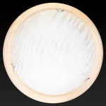 Потолочный светильник TopLight Calista TL9490Y-00PN 