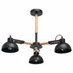 Люстра на штанге MW-Light Форест 3 693010803  Люстра на штанге MW-Light Форест 3 693010803