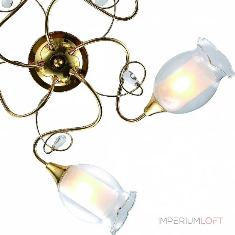 Потолочная люстра Arte Lamp Mughetto A9289PL-5GO 