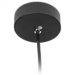Подвесной светильник Ambrella Techno 1 TN502 Цвет арматуры черный Цвет плафонов черный от ImperiumLoft