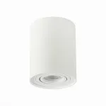 Спот ST-Luce Torus ST108.517.01 Цвет арматуры белый