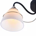 Потолочная люстра Rivoli Karola Б0049205 
