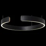 Подвесной светильник Loft it Ring 10025/400 Black Цвет плафонов черный от ImperiumLoft