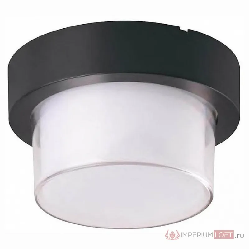 Накладной светильник Horoz Electric Suga 076-021-0012 цвет арматуры черный цвет плафонов белый от ImperiumLoft