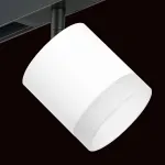 Трековый светильник Lightstar Rullo PRO348680