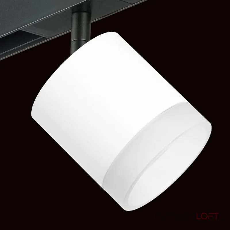 Трековый светильник Lightstar Rullo PRO348680