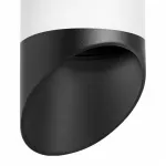 Накладной светильник Lightstar Rullo 2 R649687 Цвет плафонов черно-белый