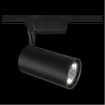 Светильник на штанге Maytoni Track lamps TR003-1-40W3K-B Цвет арматуры черный Цвет плафонов черный