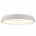 Подвесной светильник Arte Lamp 6250 A6250SP-1WH 