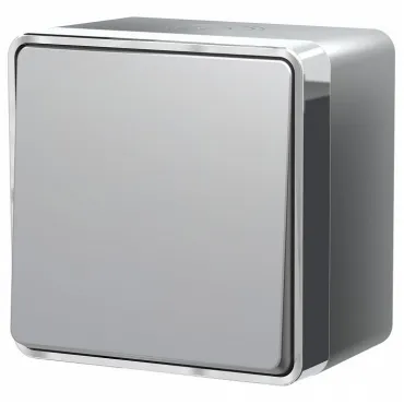 Выключатель одноклавишный влагозащищенный Werkel Gallant W5010206 Цвет арматуры серебро