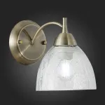 Бра EVOLUCE Nuele SLE104401-01 Цвет плафонов прозрачный Цвет арматуры бронза