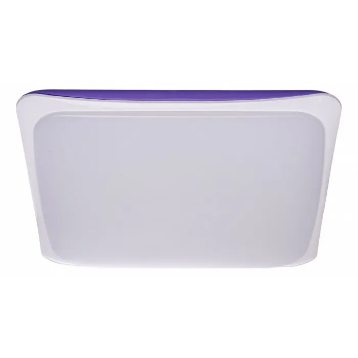 Накладной светильник MW-Light Ривз 674014501 от ImperiumLoft