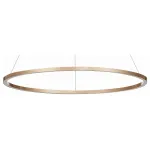 Подвесная люстра ST-Luce ST605 DOWN ST605.243.34 