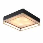Накладной светильник ST-Luce Chodo SL1127.422.05 Цвет арматуры черный Цвет плафонов белый от ImperiumLoft