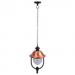 Подвесной светильник Arte Lamp Barcelona A1485SO-1BK Цвет арматуры медь Цвет плафонов прозрачный