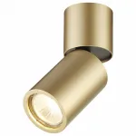 Накладной светильник Odeon Light Duetta 3895/1C Цвет арматуры золото Цвет плафонов золото
