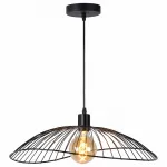 Подвесной светильник Agnes TL1196H-01BK Toplight