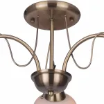 Потолочная люстра TopLight Octavia TL3760X-03AB 