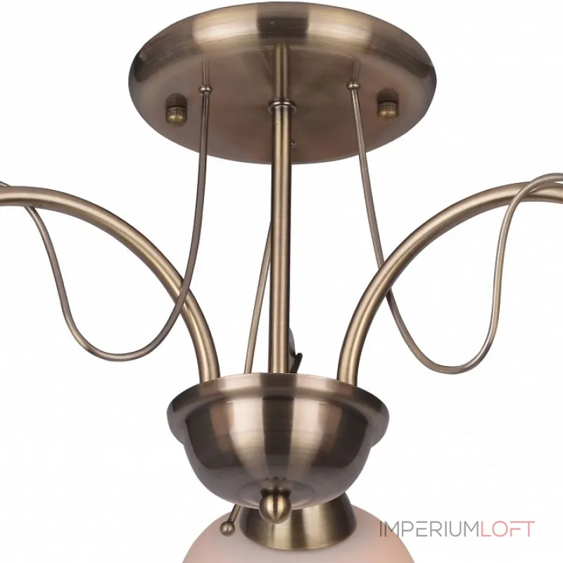 Потолочная люстра TopLight Octavia TL3760X-03AB 
