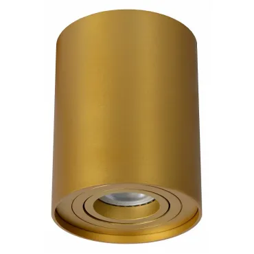 Накладной светильник Lucide Tube 22952/01/02 Цвет плафонов золото Цвет арматуры золото